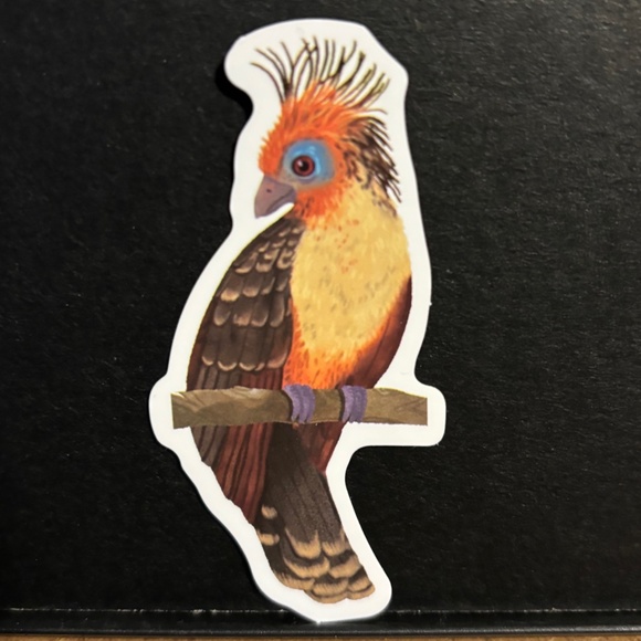 BIRD STICKER - Picture 1 of 1